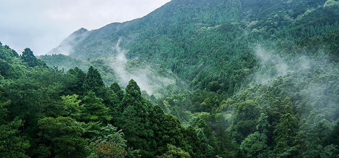 防火預(yù)警